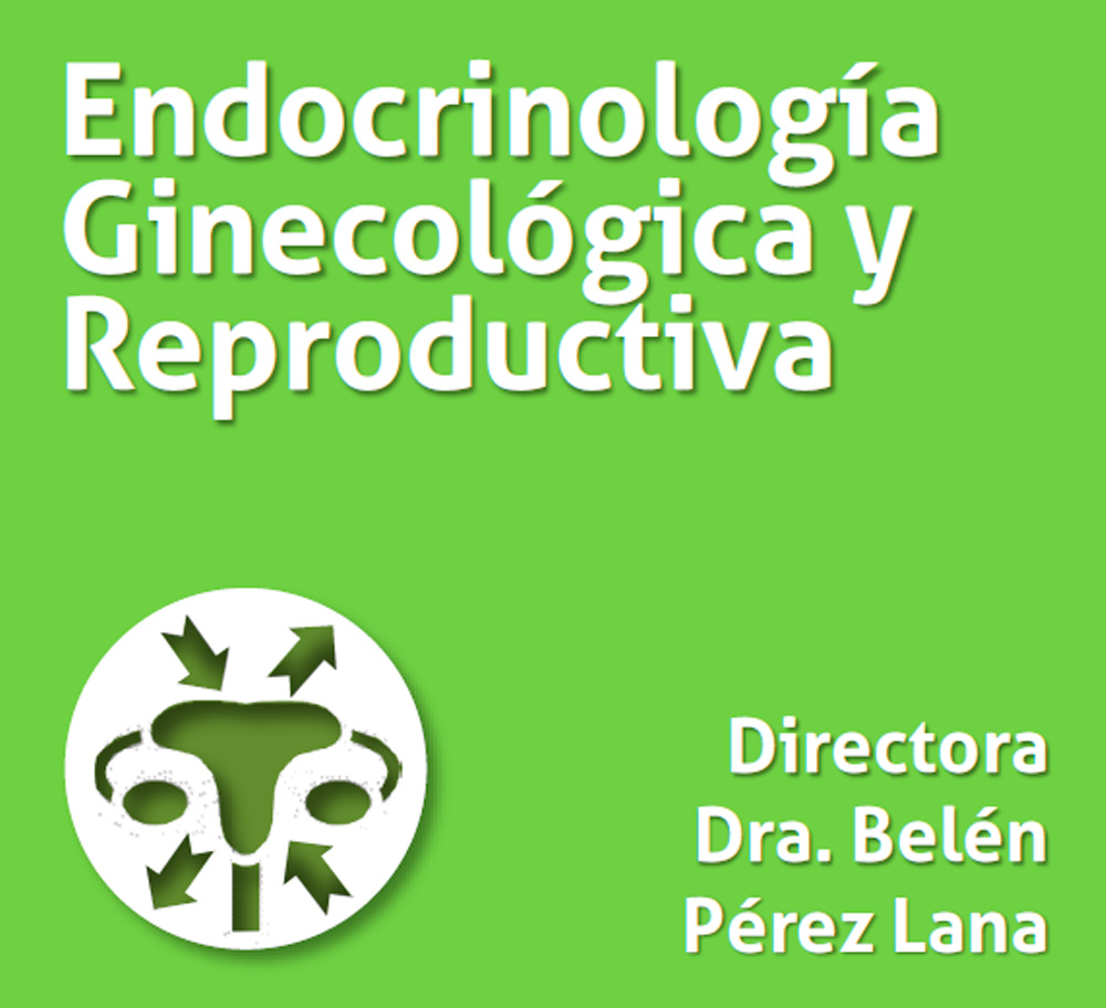 Curso Endocrinología