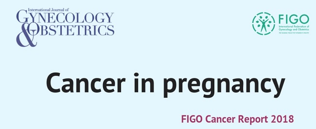 Fico Cancer Report