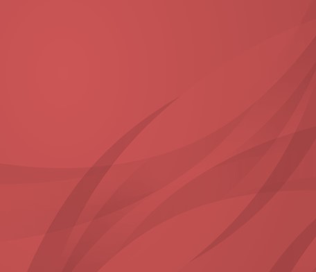 Banner Rojo