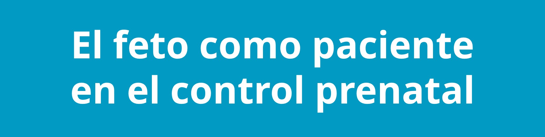 Curso 2024 3