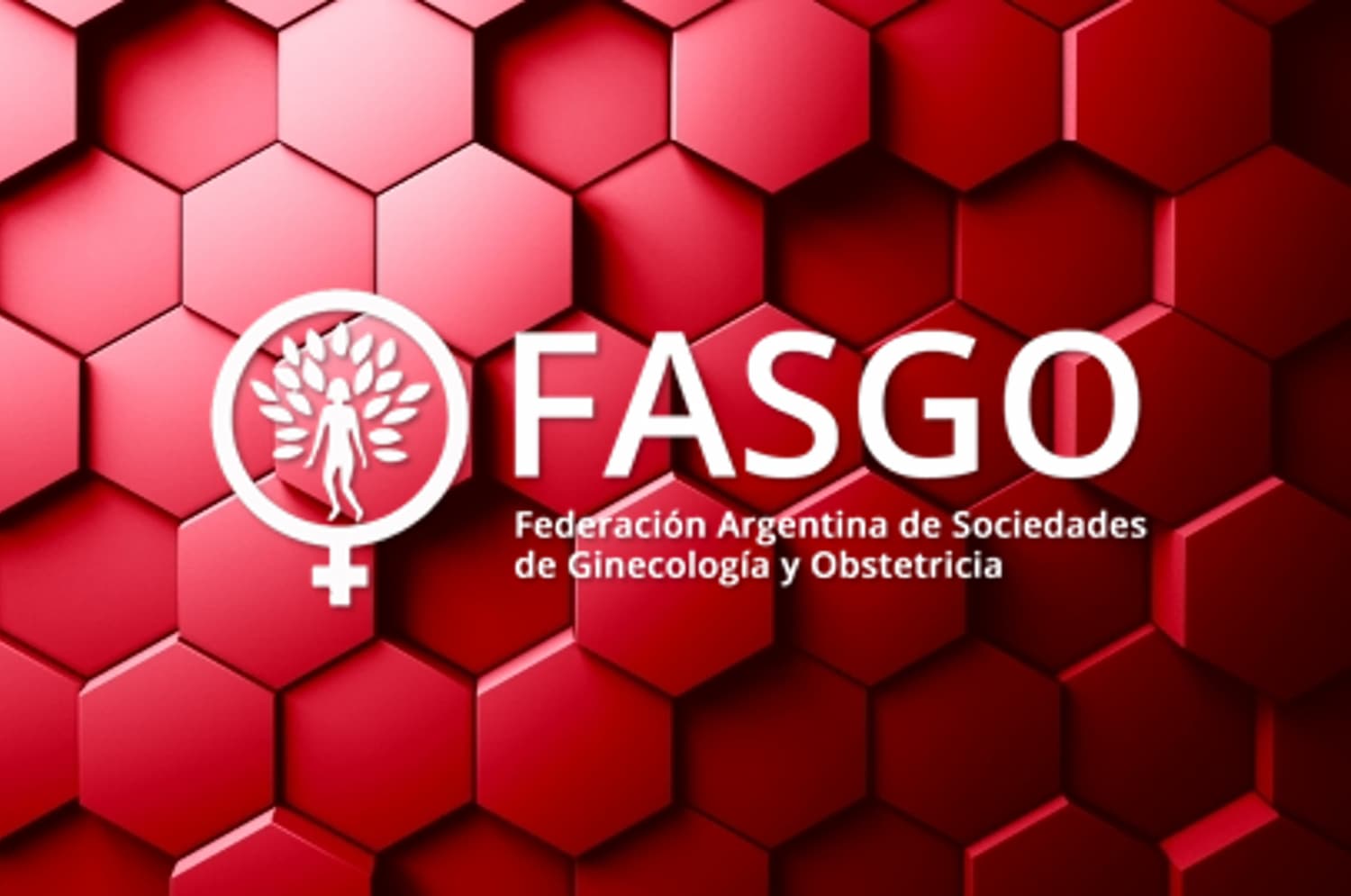 Fasgo recuadro