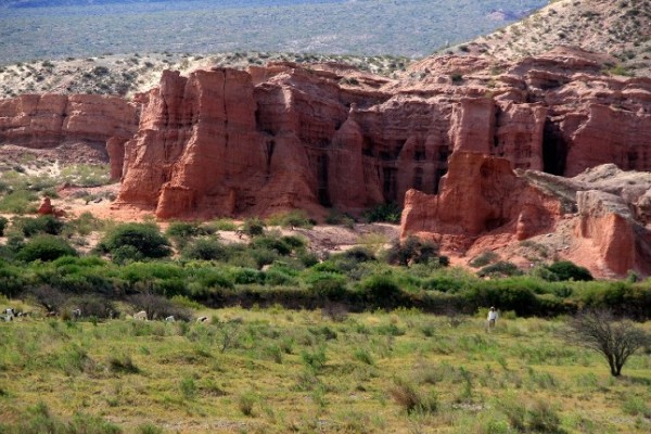 Salta 07