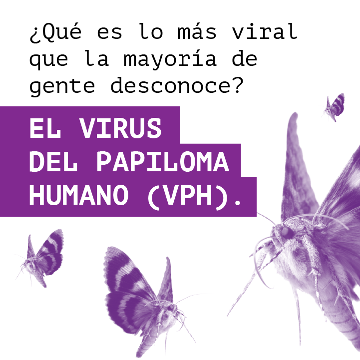 HPV Dia 02