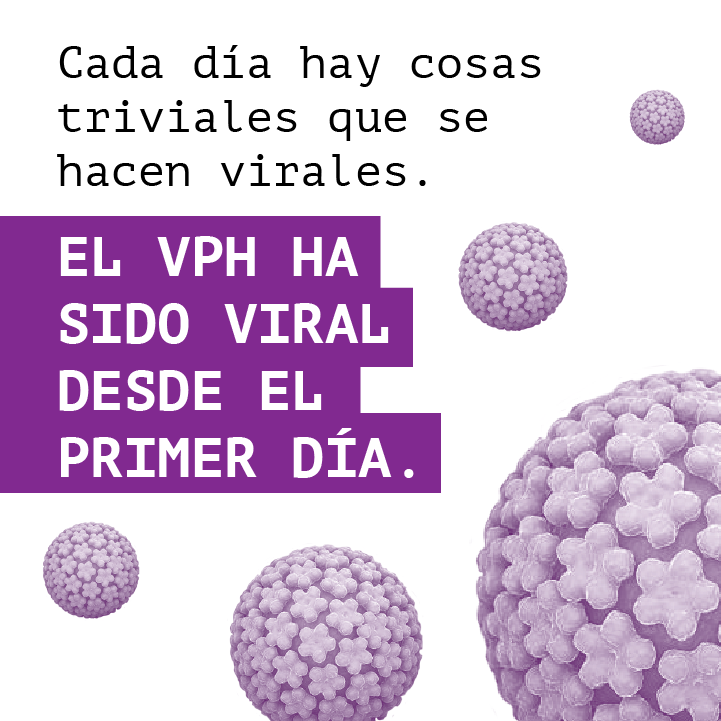 HPV Dia 04