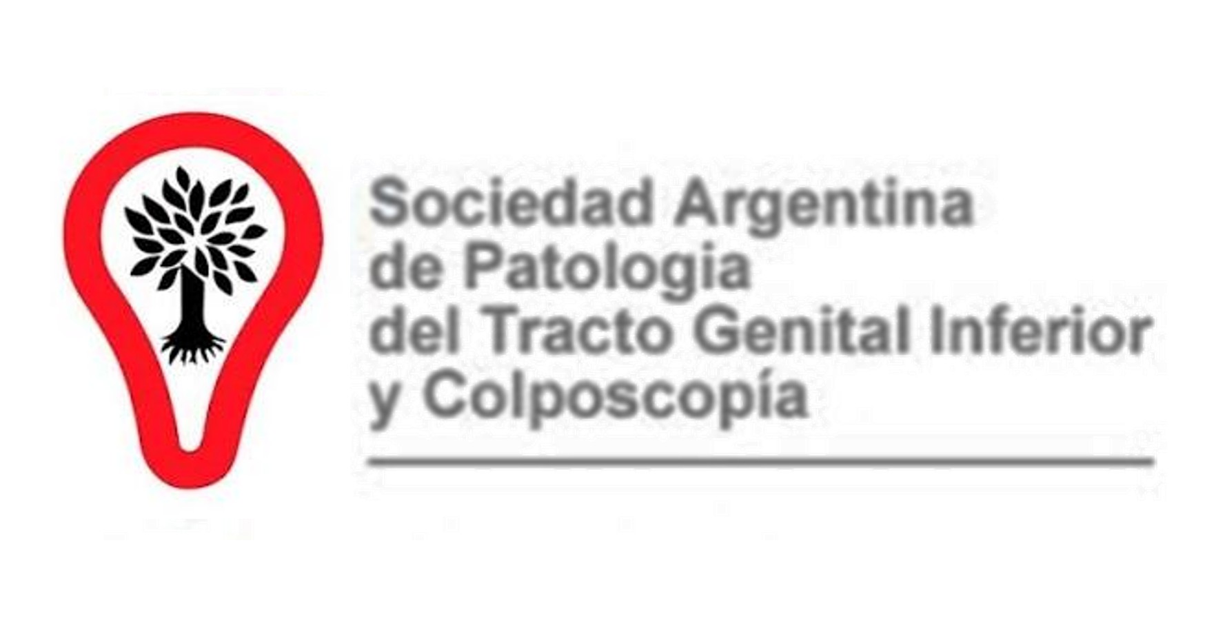 Logo SOCTGI 2026