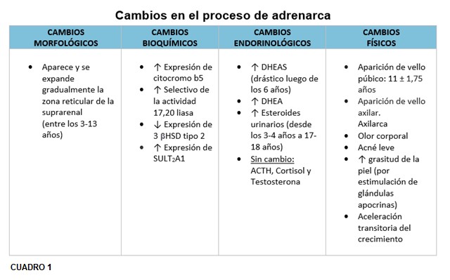 Rev 8 2020 14