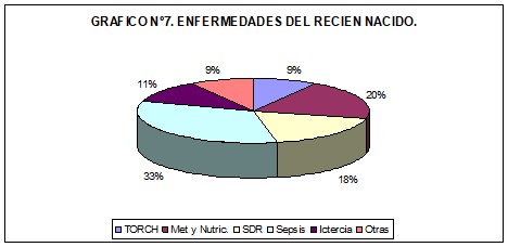 Revista 12 11