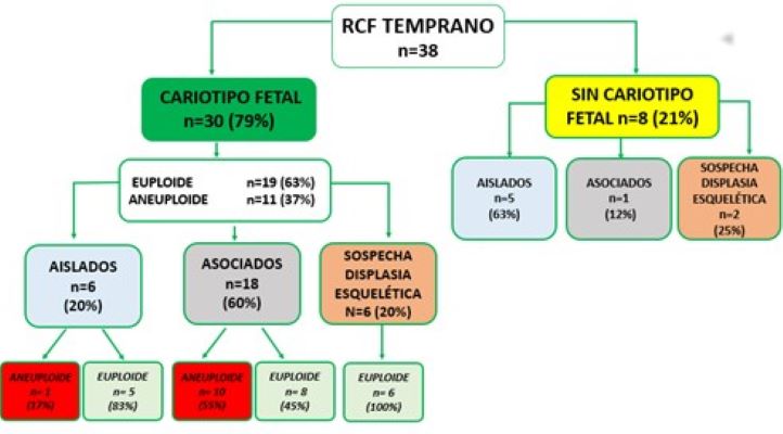 Revista 16 01