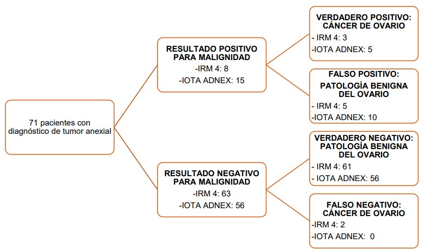 Revista 16 41