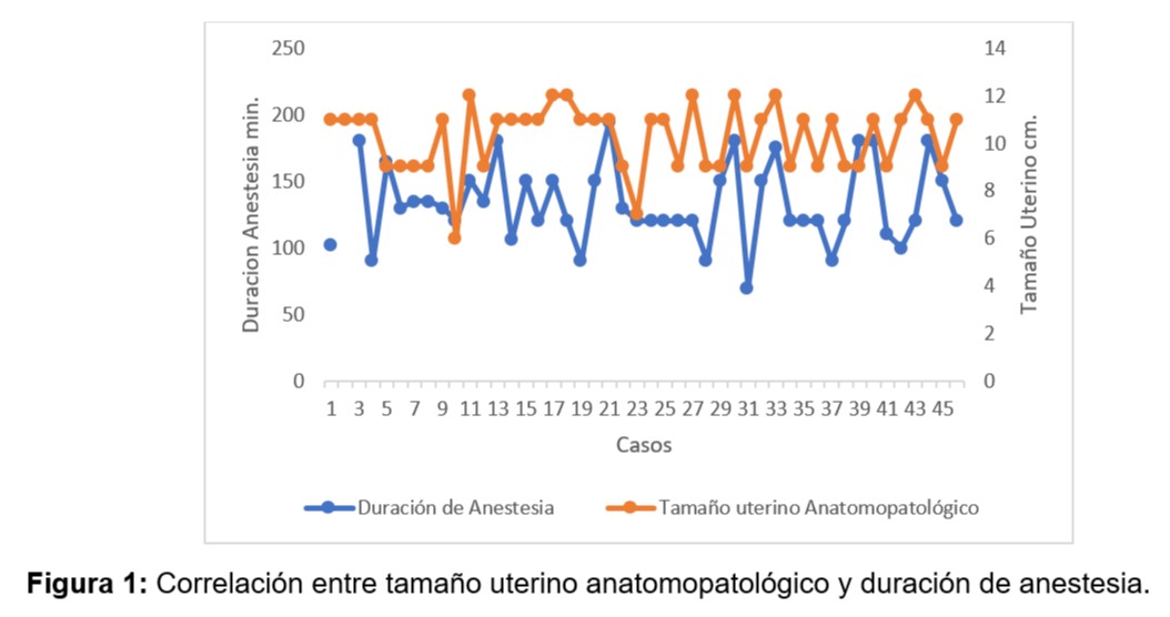 Revista 6 Nota 1 6