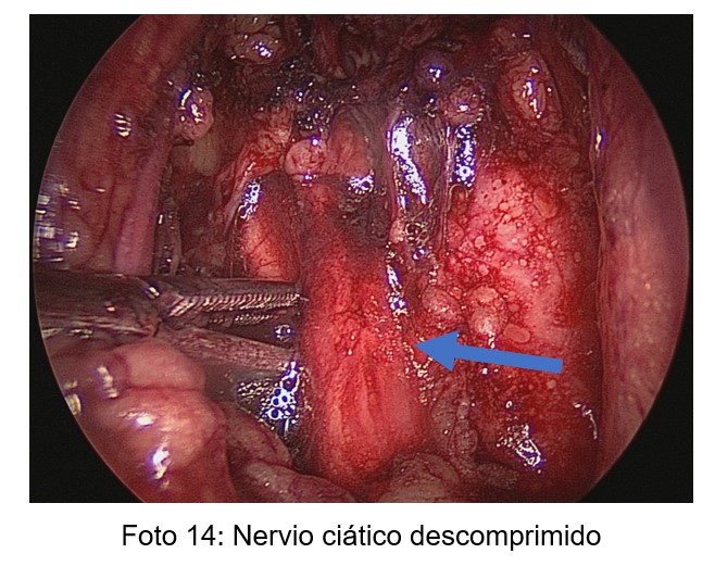 Revista 6 Nota 2 14