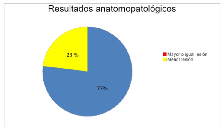 Revista 7 C 03