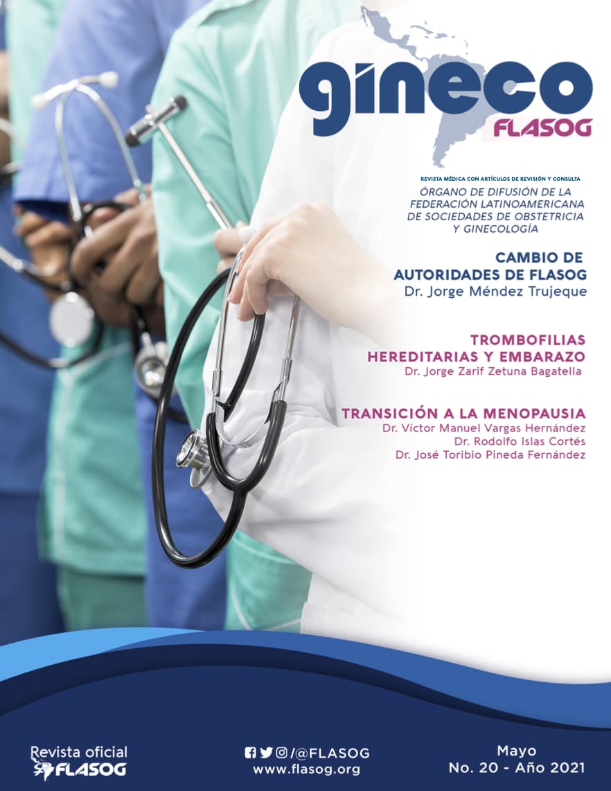 Revista Flasog Enero 2021