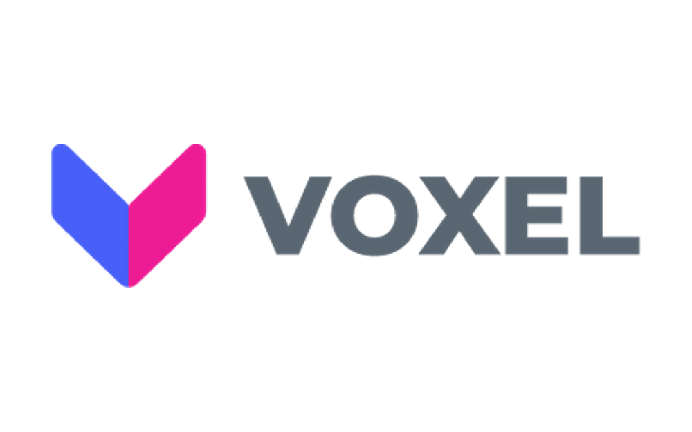 Voxel